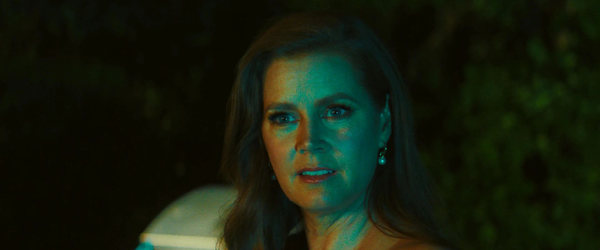 Amy Adams salva vítima de esfaqueamento com técnicas de série cancelada