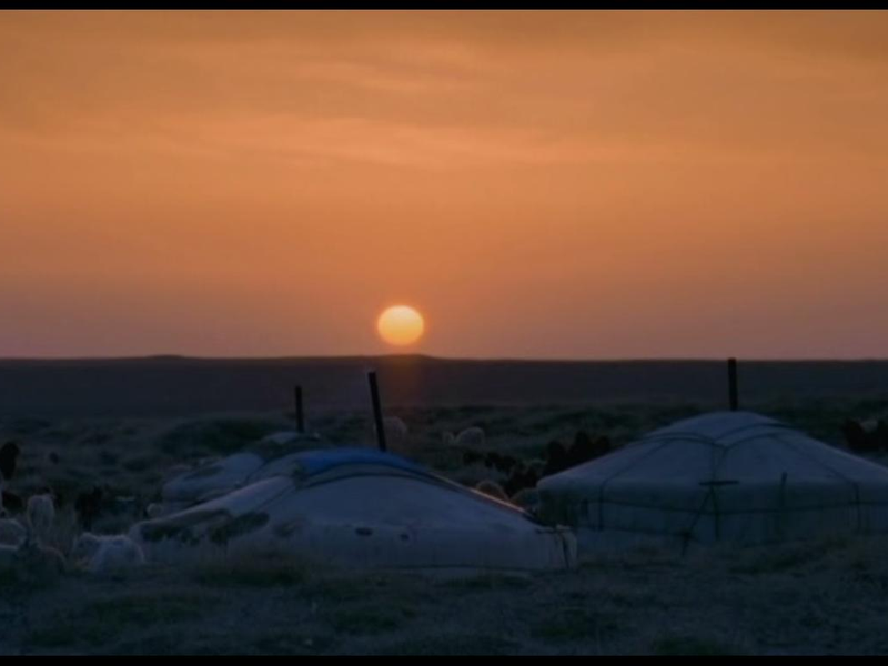 Foto 4 de Camelos Também Choram