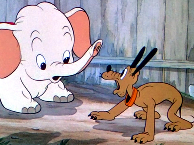 Foto 1 de O Elefante de Mickey