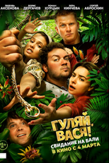 Divirta-se, Vasya! (Have Fun, Vasya!)