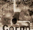 Corpo da Paz