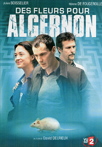 Flores para Algernon (Des fleurs pour Algernon)