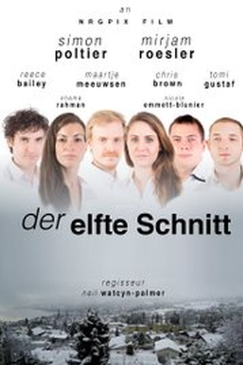 Poster de Filme The Eleventh Cut (2016)