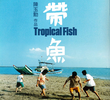 Tropical Fish