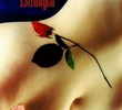 Guns N' Roses: Estranged