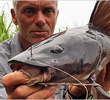 Congo Killer