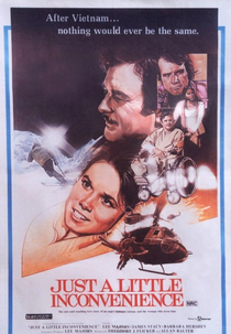Apenas um Pequeno Inconveniente (Just a Little Inconvenience)