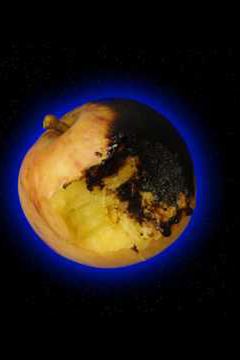 Poster de Curta Rymdreglage: Fruits (2009)