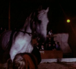 Moonstone