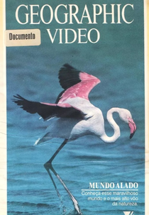 National Geographic Vídeo - Mundo Alado (National Geographic Specials: Winged World)