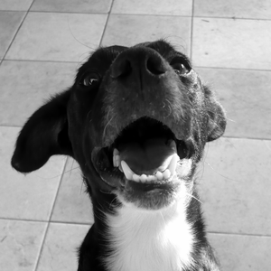 Foto de perfil de paN