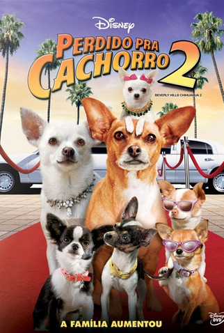 Poster 1 de Filme Perdido Pra Cachorro 2 (2011)