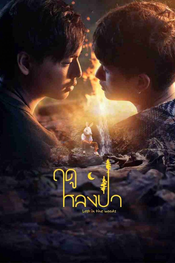 Poster de Franquia ฤดูหลงป่า (2025)