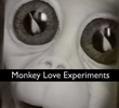 Monkey Love Experiments