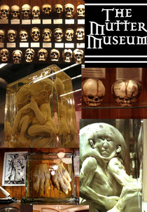 The Mutter Museum (The Mutter Museum)