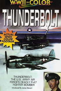 Thunderbolt - O Avião P-47 - Poster / Capa / Cartaz - Oficial 5
