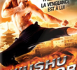 Guerreiro Wushu