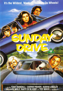 O Passeio de Domingo ("Disneyland" Sunday Drive)