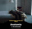 Anatomia