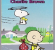 É Uma Aventura, Charlie Brown