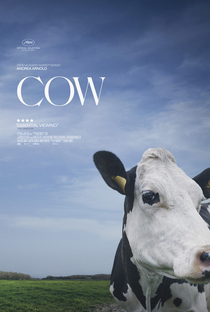 Cow - Poster / Capa / Cartaz - Oficial 3