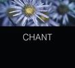 Chant