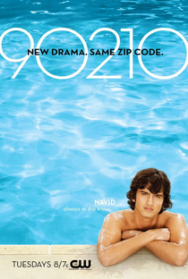 90210 (1ª Temporada) - Poster / Capa / Cartaz - Oficial 9