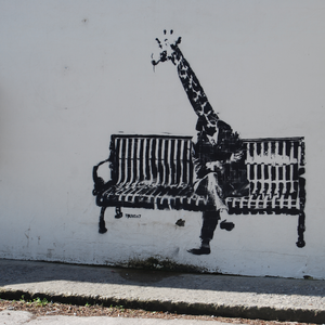 Foto de perfil de melancholia