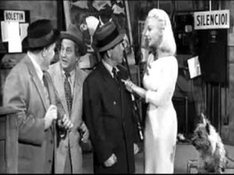 Foto 3 de O touro é um estouro