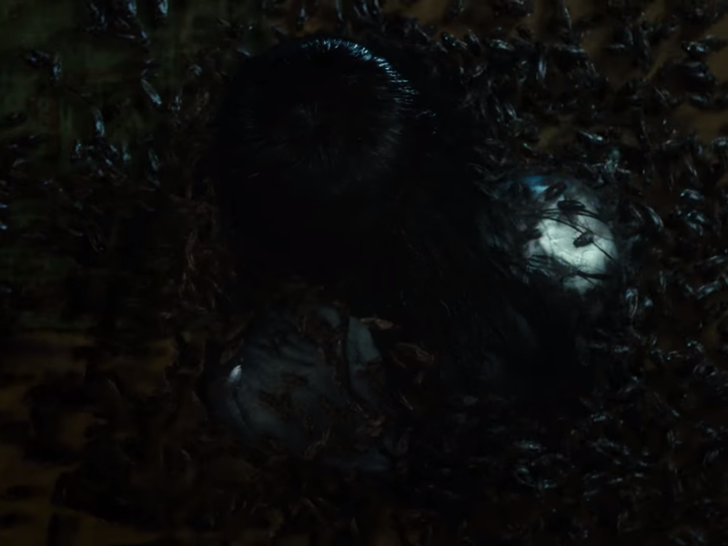 Foto 43 de O Chamado 3