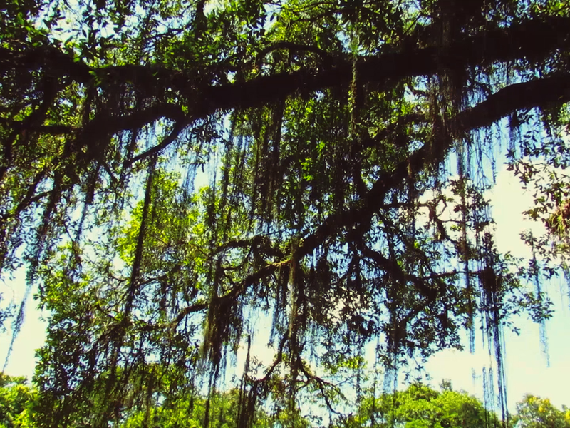 Foto 6 de Andarilhos