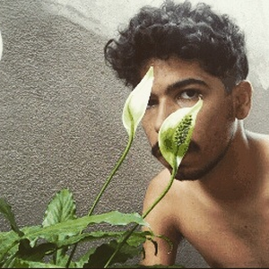 Foto de perfil de Henrique