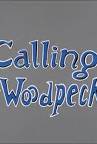 Poster 2 de Curta Chamando Dr. Pica-Pau (1963)