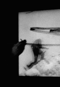 O, Persecuted (O, Persecuted)