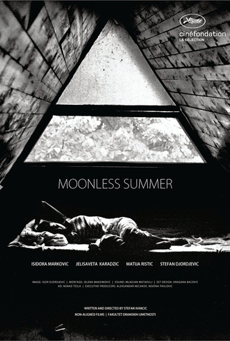 Poster 1 de Curta Moonless Summer (2014)