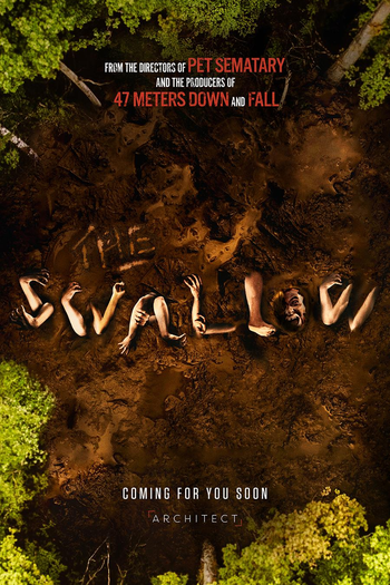 Poster de Filme The Swallow (2027)