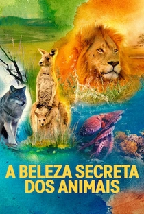 A Beleza Secreta dos Animais (1ª Temporada) - Poster / Capa / Cartaz - Oficial 1
