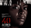 40 Acres