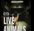 Live Animals