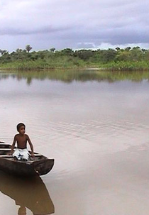 Canoa de um Pau Roxo (Canoa de um Pau Roxo)