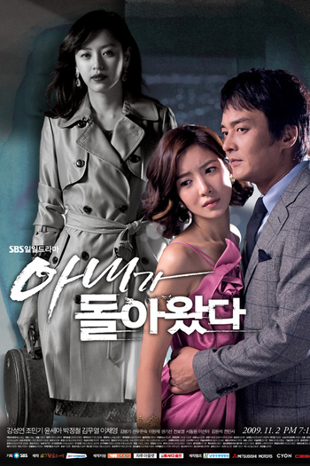 Poster de Série Wife Returns (2009)