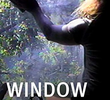 Window Work