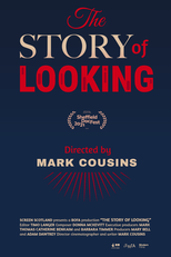 A História do Olhar (The Story of Looking)