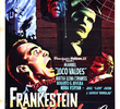 Frankenstein, the Vampire and Co.