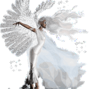 Foto de perfil de Angel