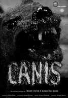 Canis (Canis)