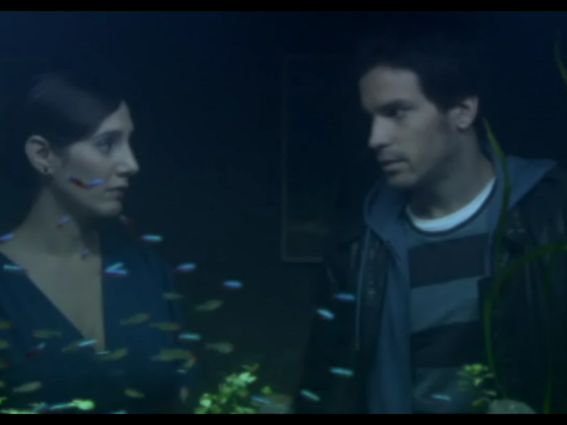 Foto 1 de A Vida dos Peixes