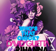 David Guetta Feat. Rihanna: Who's That Chick (Night Version)