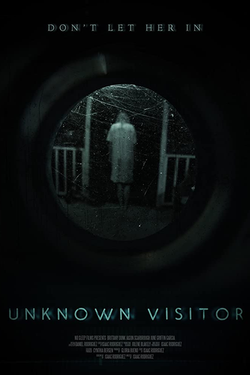 Poster de Filme Unknown Visitor (2019)