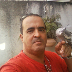 Foto de perfil de Edmilson